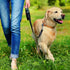 Simple Solution Pee Post Outdoor Potty Training Aid | Pheromone-Infused Yard Stake with GO HERE™ Technology | 13 Inch Stake...