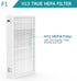 F1 H13 True HEPA Filter Replacement, Compatible with 3M Filtrete C01 T02 Air Purifier, 1 Pack...