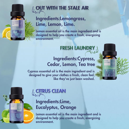 Essential Oils for Laundry - 100% Pure Essential Oils for Diffusers for Home,6x10ml(Clean)- Aromatherapy Oils for Humidifiers,Wool Dryer Balls,Cle...