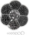 Chenkou Craft 1310pcs in Box 7 Sizes Split Double Loops Jump Rings & Ring Jewelry Keychain Making from 4mm to 12mm with 1pc Clear Box (Gun-Black, ...
