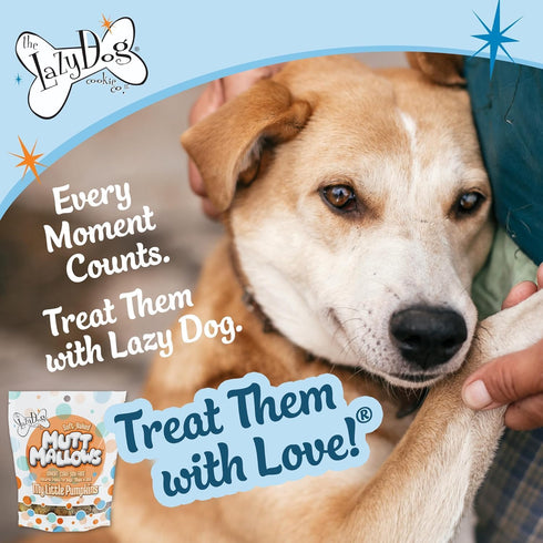 The Lazy Dog Cookie Co. Soft Dog Treats, Mutt Mallows My Little Pumpkin, for Small, Medium and Large Dogs, Wheat-Free, Baked in The USA, 5 oz. (Pa...