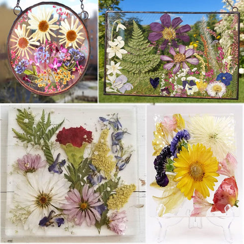 116PCS Large Dried Pressed Butterfly Sticker Flower for Resin, Big Real Nature Pressing Floral Leaves for DIY Craft, Mold, Jewelry Making, Candle ...