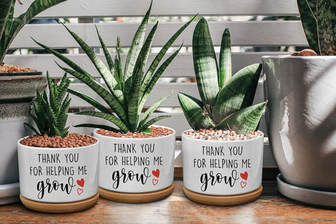 Funny Ceramic Succulent Cactus Planter Pot with Bamboo Saucers - Thank You for Helping Me Grow, Cactus Plant Office Garden for Teacher, Mom, Grand...