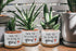 Funny Ceramic Succulent Cactus Planter Pot with Bamboo Saucers - Thank You for Helping Me Grow, Cactus Plant Office Garden for Teacher, Mom, Grand...