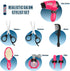 Girls Beauty Salon Set Pretend Play Stylist Hair Cutting Kit Hairdresser Toys with Hair Dryer, Scissors, Barber Apron and Styling Accessories...