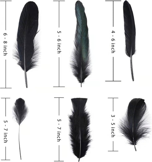 Larryhot Black Craft Feathers Bulk - 240pcs 6 Style Mixed Natural Feathers for Wedding Home Party, Dream Catcher Supplies and DIY Crafts (Black)...