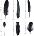 Larryhot Black Craft Feathers Bulk - 240pcs 6 Style Mixed Natural Feathers for Wedding Home Party, Dream Catcher Supplies and DIY Crafts (Black)...
