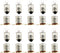 E-outstanding 10 Pcs E10 2.5V/0.3A Miniature Screw Base Light Bulbs E10 Mini Bulb for Physical Electrical Experiment Screw Base Indicator Light In...