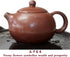 Teapot 270ml Clay Xishi Pots China Gongfu Tea Infuser for Loose Tea Blooming (Blooming)...