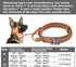 Dog Tactical Collar Military Dog Training Collar Control Handle and Heavy Metal Buckle for Medimum Large Dog Training Behavior Aids Brown L...