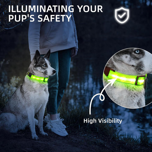 PetIsay Light up Dog Collar - High Visibility & Durable Nylon Material - USB C Rechargeable & Waterproof LED Dog Collar for Night Walking,Lighted ...
