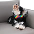 Rainbow Flag Dog Collar Gay Pride Stuff for Parade, DOGWONG LGBTQ Flags Equality Pet Apparel Decor Gift and LGBT Ally Accessories...