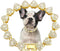 Glitter Metal Cuban Diamond Dog Chain Dog Training Chain with Secure Buckle Heart-Shaped Pet Collars for Large Medium Dogs...