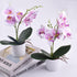 XONOR Artificial Orchid Flowers, 2 Pieces Potted Fake Orchids with Plastic Vase for Table Centerpiece Home Decor Office Wedding Party Decoration...