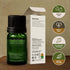 Gya Labs USDA Certified Organic Rosemary Essential Oil for Hair & Scalp - 100% Pure Natural Rosemary Oil Organic for Skin & Diffuser - Natural Aro...