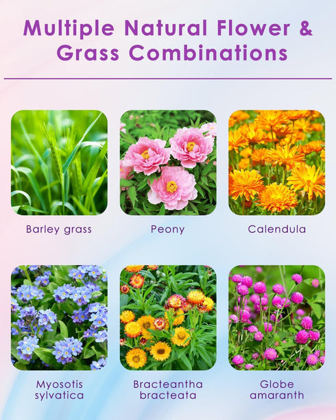 Bissap Natural Flower & Herb Hamster Bedding 300g/10.5oz, Small Animal Flower Habitat Decor for Syrian Dwarf Hamster Gerbil Chinchilla Mice Degu a...