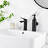 BATHSIR Matte Black Soap Dispenser, Refillable Shower Soap Dispenser Wall Mounted, Stainless Steel Clear Hand Soap Dispenser with Pump for Bathroo...
