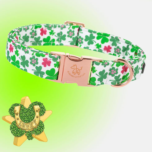 Elegant little tail Dog Collar, Green Clover Pet Collar Dog Collar, St Patrick's Day Dog Collar, Holiday Pet Collar Cute Puppy Collar Adjustable P...