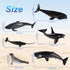 6PCS Plastic Whales Mini Ocean Animals Figurines Mini Whale Sea Animals Figures Realistic Miniature Sea Creatures Cake Topper Toy Set with Whales ...
