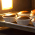 Baking Cups Cupcake Liners, Standard Sized, 300 Count (White)...