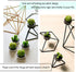 Swpeet 12Pcs Decorative Succulent Cactus Tealight Candles Kit, Cute Smokeless Succulent Plants Perfect for Candles Festival Wedding Props and Hous...