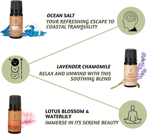 Folkulture Fragrance Oils for Diffuser, Set of 6 Essential Oils Set for Diffusers for Home, Diffuser Oil Scents - Lavender Palo Santo Rose Geraniu...