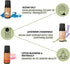 Folkulture Fragrance Oils for Diffuser, Set of 6 Essential Oils Set for Diffusers for Home, Diffuser Oil Scents - Lavender Palo Santo Rose Geraniu...