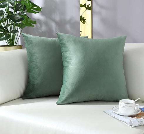 mixeoo Comfy Sage Green Throw Pillow Covers Decorative Square Solid Thick Velvet Super Soft Couch Cushion Cases for Bedroom Sofa Decor, Set of 2, ...