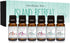 Island Retreat Gift Set of 6 Premium Fragrance Oils - Barrier Reef, Mountain Meets The Ocean, Beautiful Day, Caribbean Escape, Honolulu Sun, Merma...