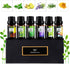 Fresh Essential Oils Set, 6x10ml Aromatherapy Oil Gift Kit for Diffuser, Fragrance, Humidifiers, Air Purifier- Tea Tree, Bergamot, Rosemary, Laven...