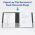 Avery Dual Color Heavy-Duty View Binder, Pool Blue/Lavender, 1" Slant Rings, Holds 250 Sheets (79899)...