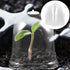 DOITOOL 10pcs Flower Pot Seedling Cover Mini Greenhouse Cover Plant Protect Cover Gardening Tool Plant Cover Cloche Plastic Cover Plant Nursery Ho...