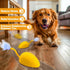 Mity rain Interactive Dog Toys, Remote Control Dog Toy with Feather Tail and Charger, Funny Dog Toys for Small Medium Dogs Outdoor and Indoor, Dog...