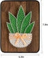 BAZIMA DIY String Art Kit for Beginner,DIY Aloe Potted Craft Kit,Unique Gift,Craft Kit for Holidays...