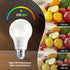 VOLIVO 12 Pack A19 LED Light Bulbs, Daylight 5000K, 9W(60 Watt Equivalent), 800 Lumens, 120V, E26 Standard Base, Non-Dimmable LED Bulb, UL Listed ...