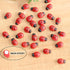 20-Piece Set: Seven-Spot Ladybug Décor - Wooden Handcrafted Simulation Beetle Garden with Realistic Ladybug Insect Miniature Sample Model - Yard, ...