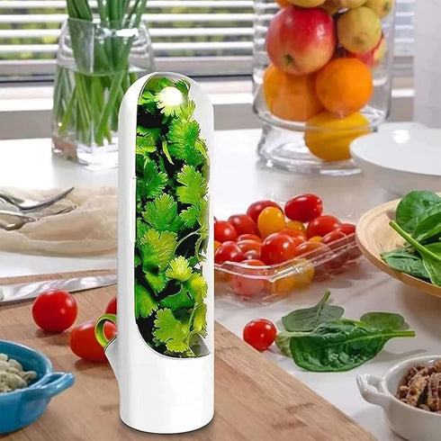 1PCS Herb Saver Refrigerator Vegetable Preservation Bottle Herb Storage Container Clear Herb Container for Kitchen Fresh Keeper Cilantro Mint Aspa...