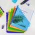 Plastic Binder Dividers with One Front Pocket and Tab Binder Divider for 3 Ring Binder, Multicolor, 10 Pack...