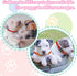 27Pcs Puppy Collars for Litter Adjustable Puppy Whelping Collars Soft Nylon Breakaway Puppy ID Collars with Safety Release Buckle for Newborn Pupp...