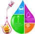 Soap Fragrance Oil - 12 Liquid Soap Scents Set for Bath Bomb Making, Soap Making Supplies, DIY Slime - Concentrated Food Grade Soap Flavoring Bath...