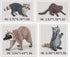 Atralo Service Wildlife Animal Figures Model Playsets 4 PCS Raccoon Beaver Figure Model Toy Desktop Decoration Collection Party Favors Toys for Bo...