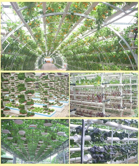 50 Pack 1.77" Garden Plastic Slotted Mesh Net Cups Pots, Round Heavy Duty Home Garden Bucket Basket Plant Nursery Pots for Hydroponics/Aquaponics/...