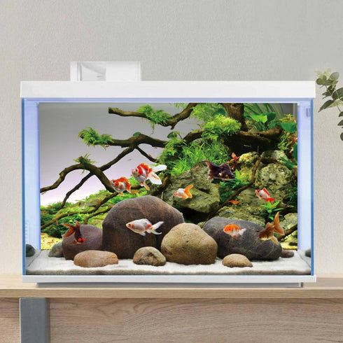 AWERT 48x24 inches Branches Aquarium Background Stone River Bed & Lake Fish Tank Background Green Algae Aquarium Background Vinyl Background...