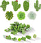 40 PCS Decorative Push Pins Set, Cactus Palm Leaf Camellia Rose Thumb Tack Decorative Cute Push pins for Cork Board Bulletin Board Maps Photos Wal...