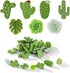 40 PCS Decorative Push Pins Set, Cactus Palm Leaf Camellia Rose Thumb Tack Decorative Cute Push pins for Cork Board Bulletin Board Maps Photos Wal...