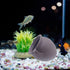 AnRui Ceramic Jar Aquarium Ornament Decor Natural Clay Vase Betta House Hideout Cave Pot Fish Tank Decorations Accessories for Cichlid, Small Fish...