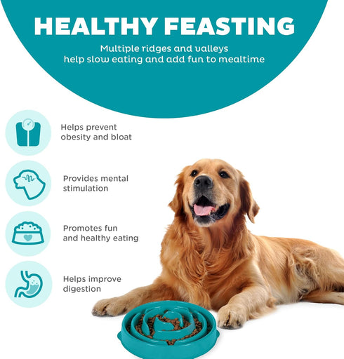 Outward Hound Fun Feeder Slo Bowl, Slow Feeder Dog Bowl, Large/Regular, Turquoise...