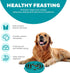 Outward Hound Fun Feeder Slo Bowl, Slow Feeder Dog Bowl, Large/Regular, Turquoise...