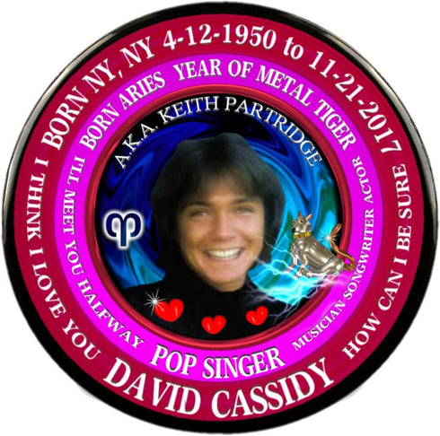 David Cassidy 70's Singer Cup + Magnet + Pin, Astrology Aries Zodiac Metal Tiger...