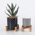 2 Pack Plant Stand Indoor Wood Low Plant Stands Planter Stands for Indoor Plants Flower Plant Pot Holder Small Indoor Plants 7.48"×0.79"×2.32"...